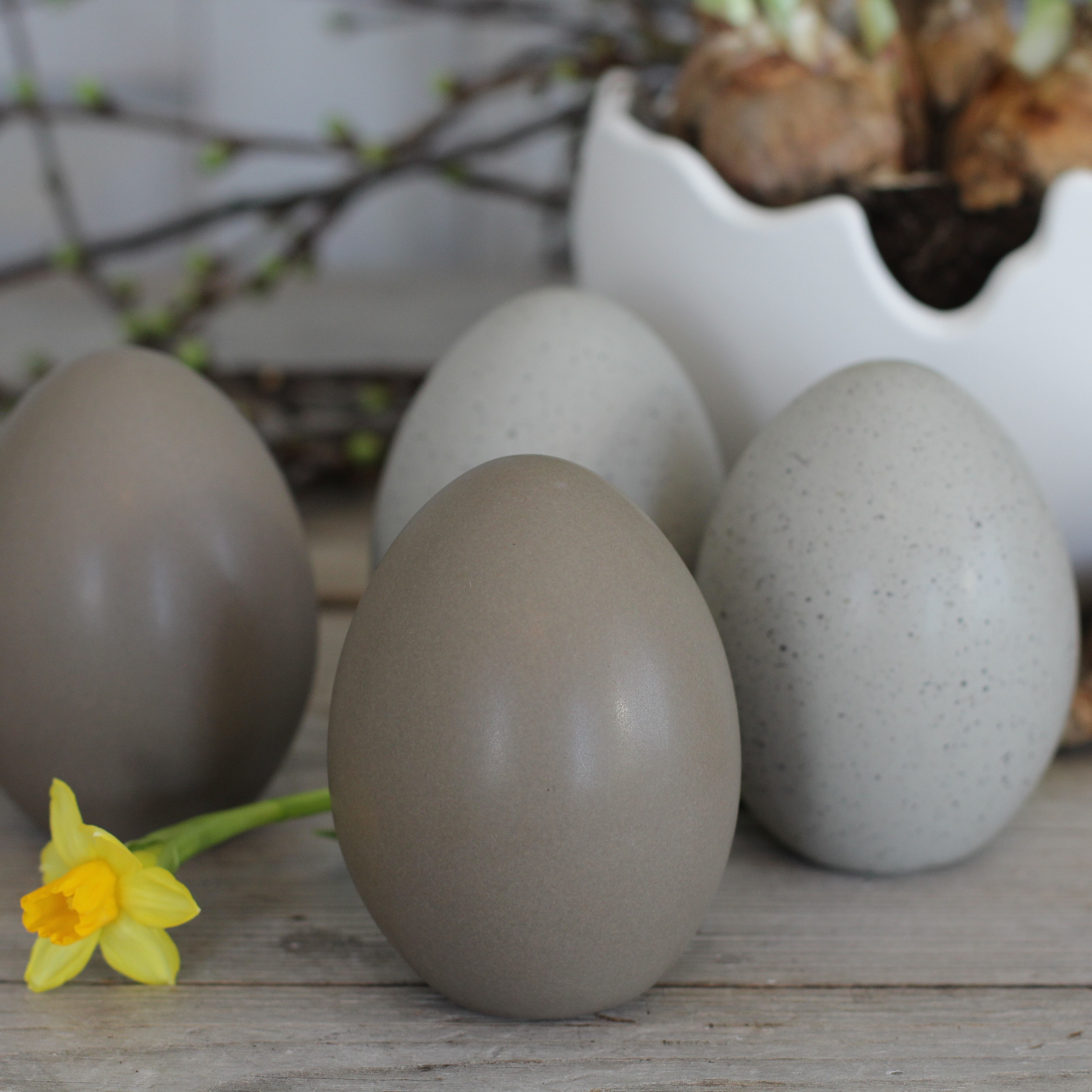 Standing egg - Natur - 3