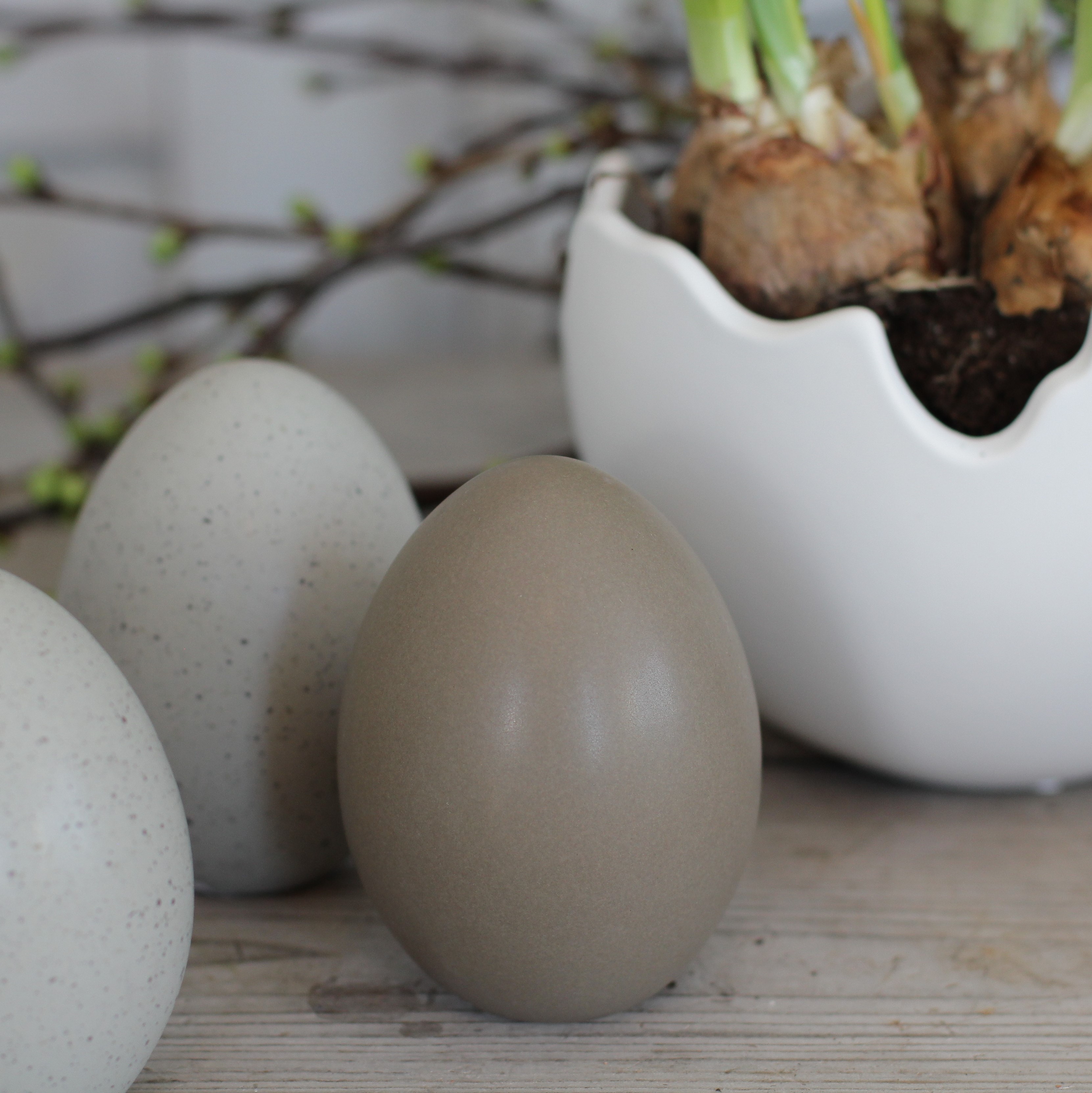 Standing egg - Natur - 2