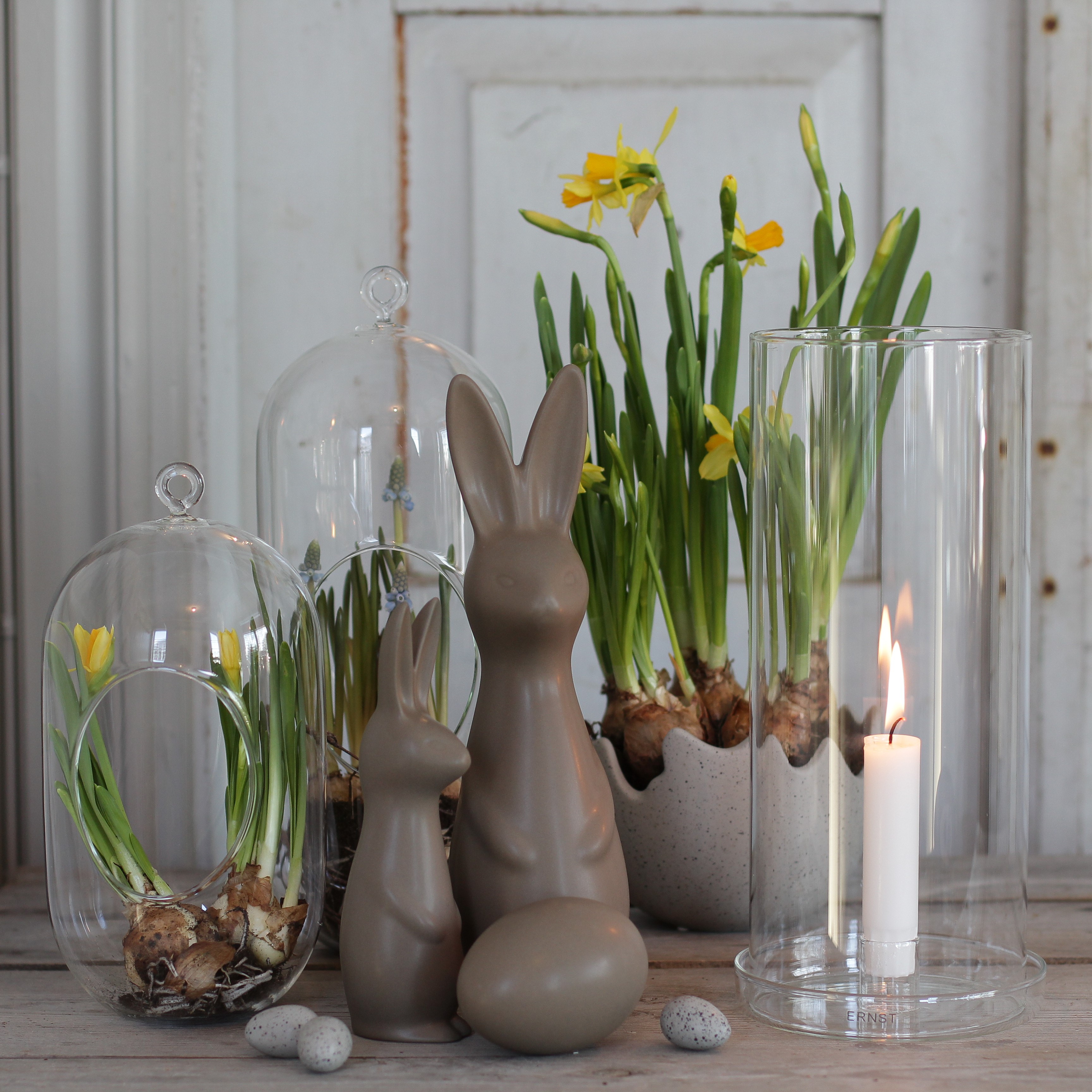 Swedish rabbit Dust  (brun) - Stor - 3