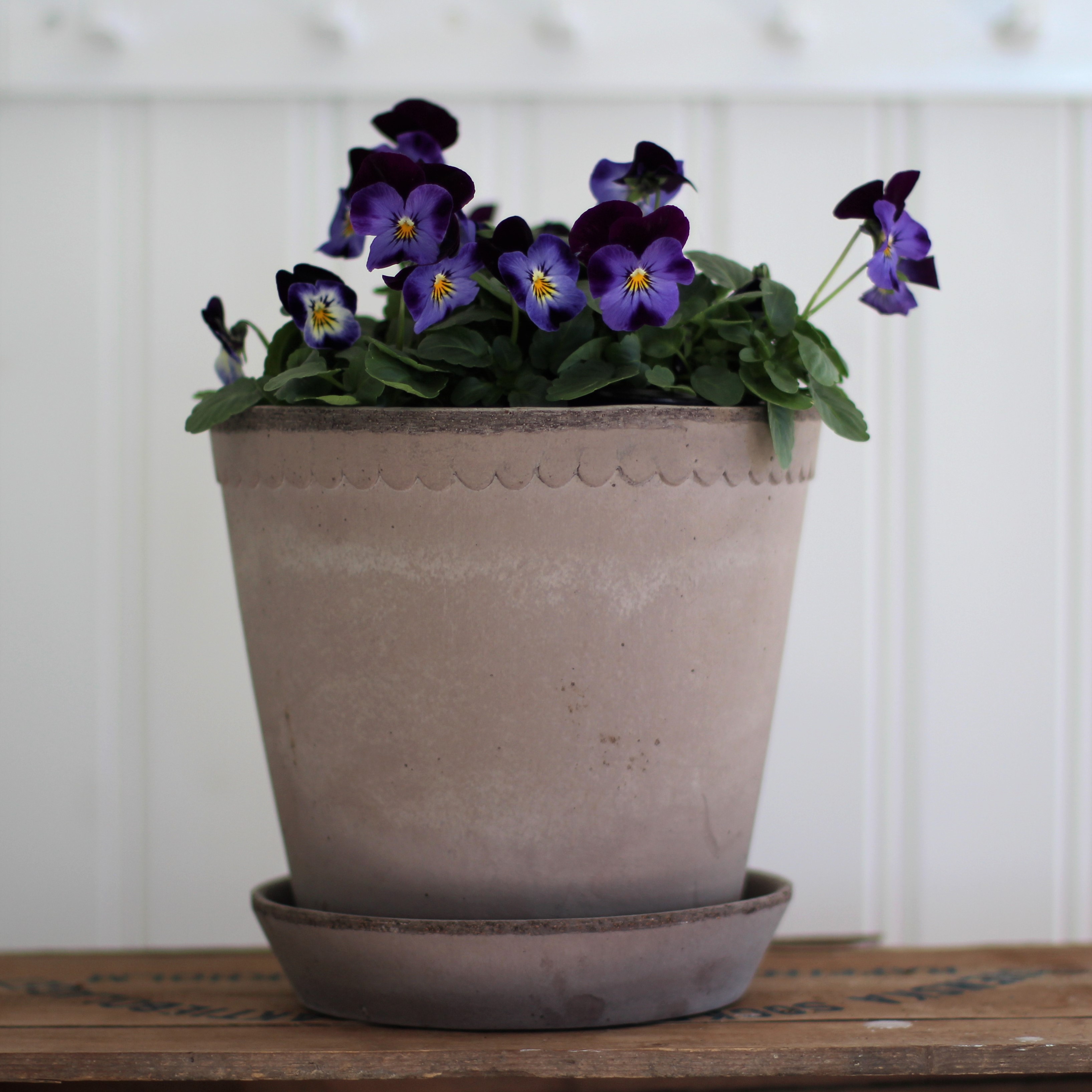 Kruka Helena  21 cm  grå - Bergs Potter