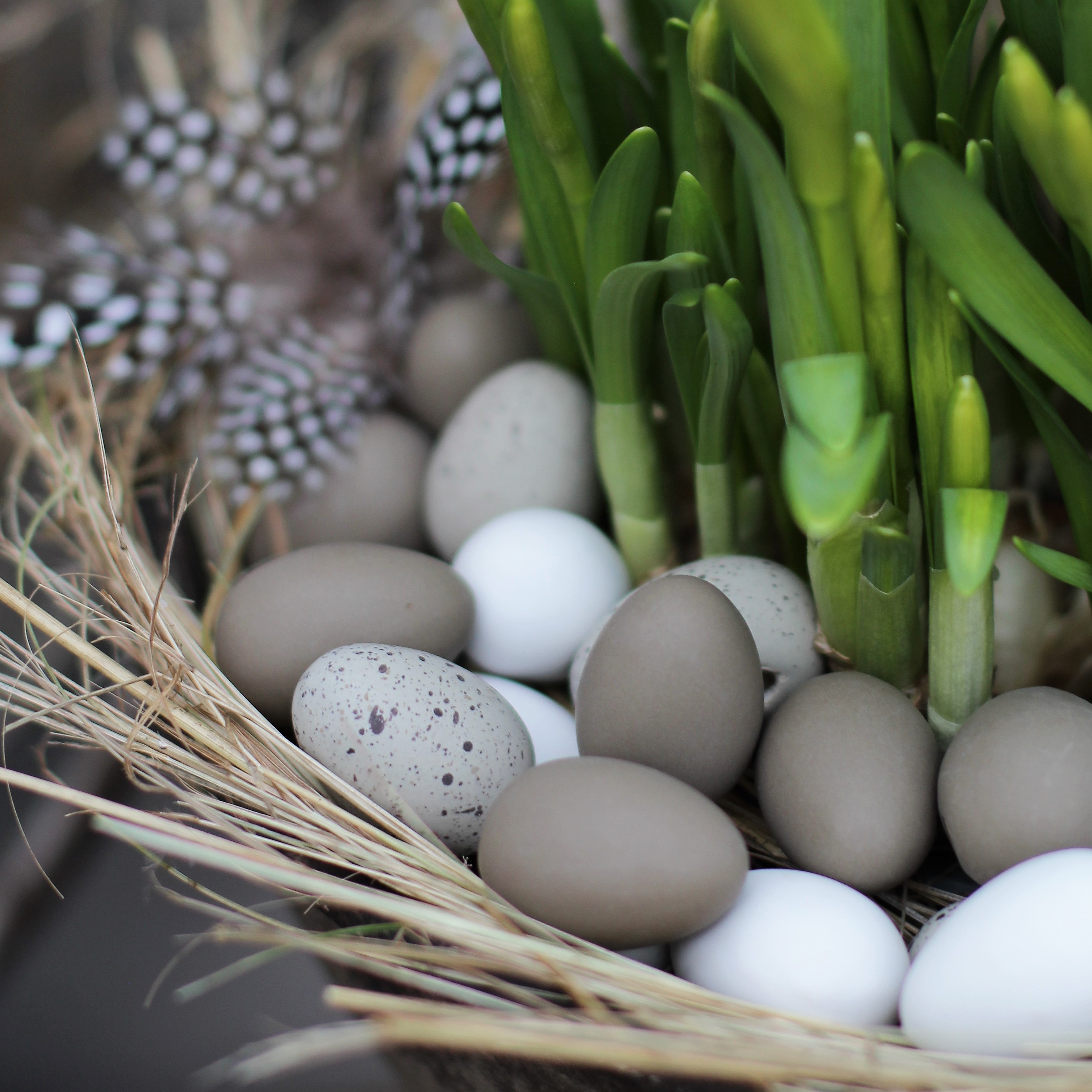 Ägg mini - Vitt