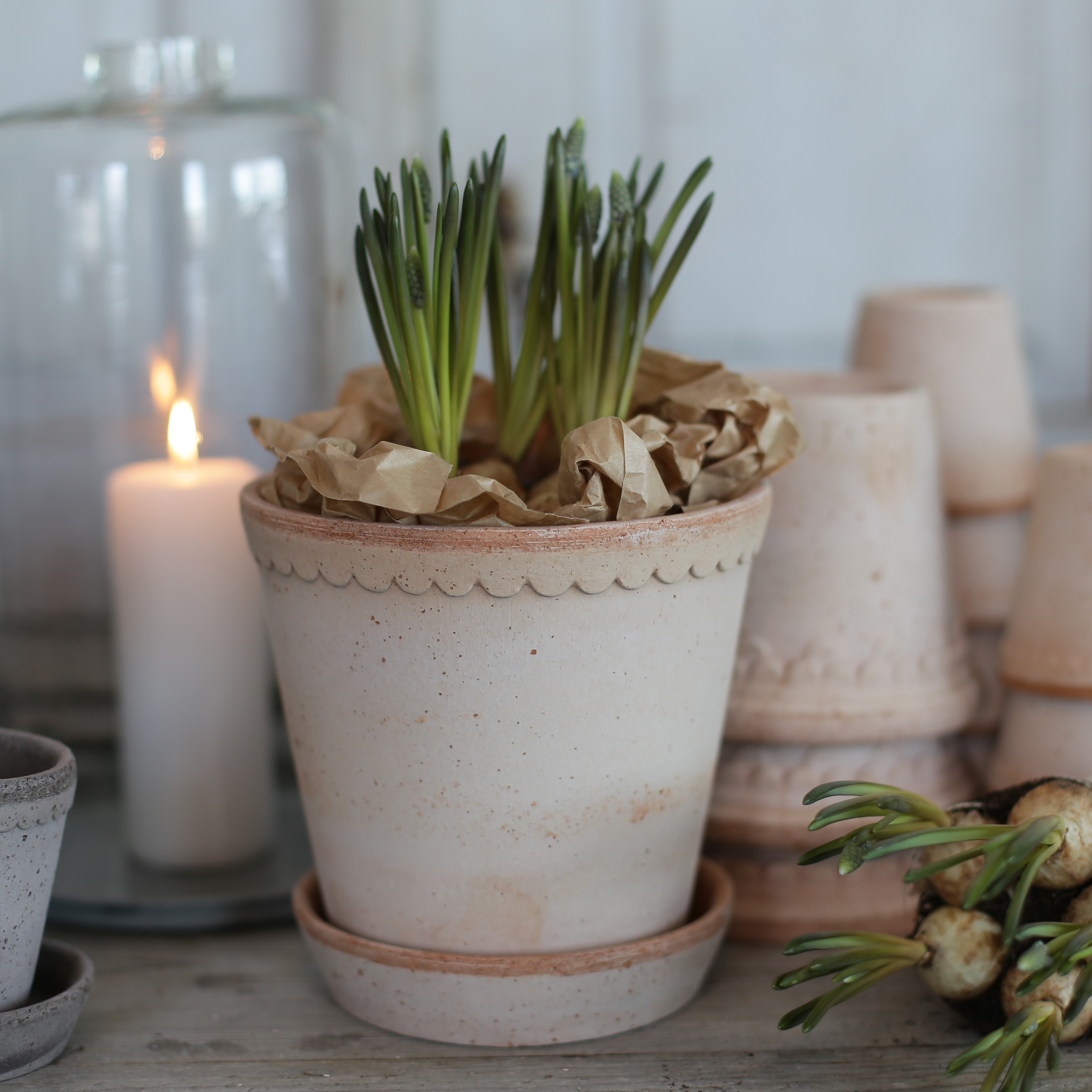 Kruka Helena  12 cm  terracotta - Bergs Potter