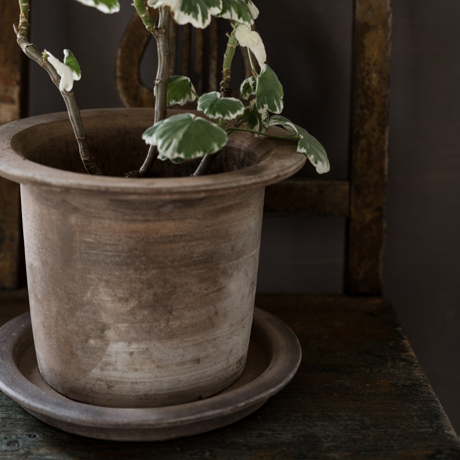 Kruka Med Fat ERNST 18 cm - Brun Terracotta - 2