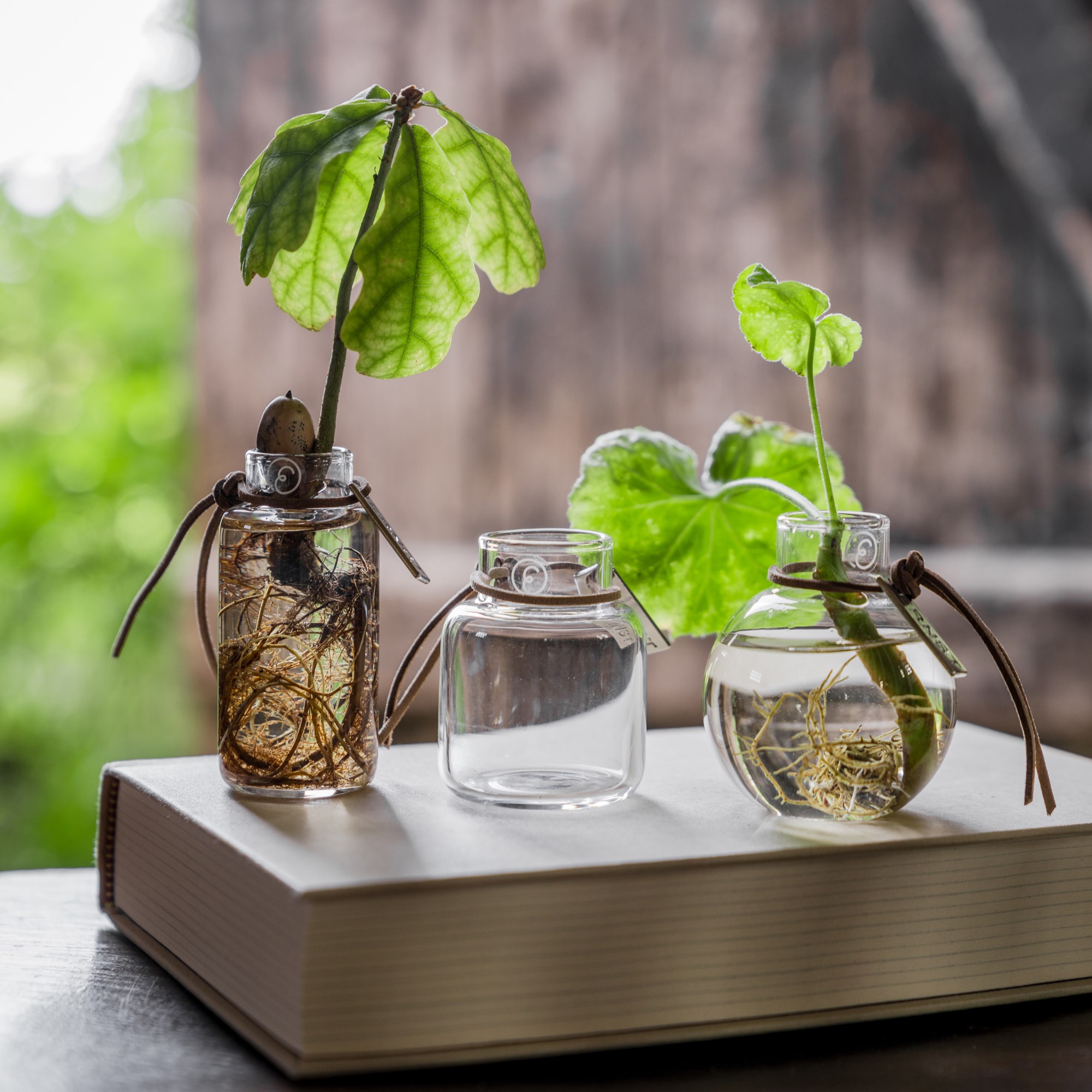 Glasvas Mini 3-pack - ERNST