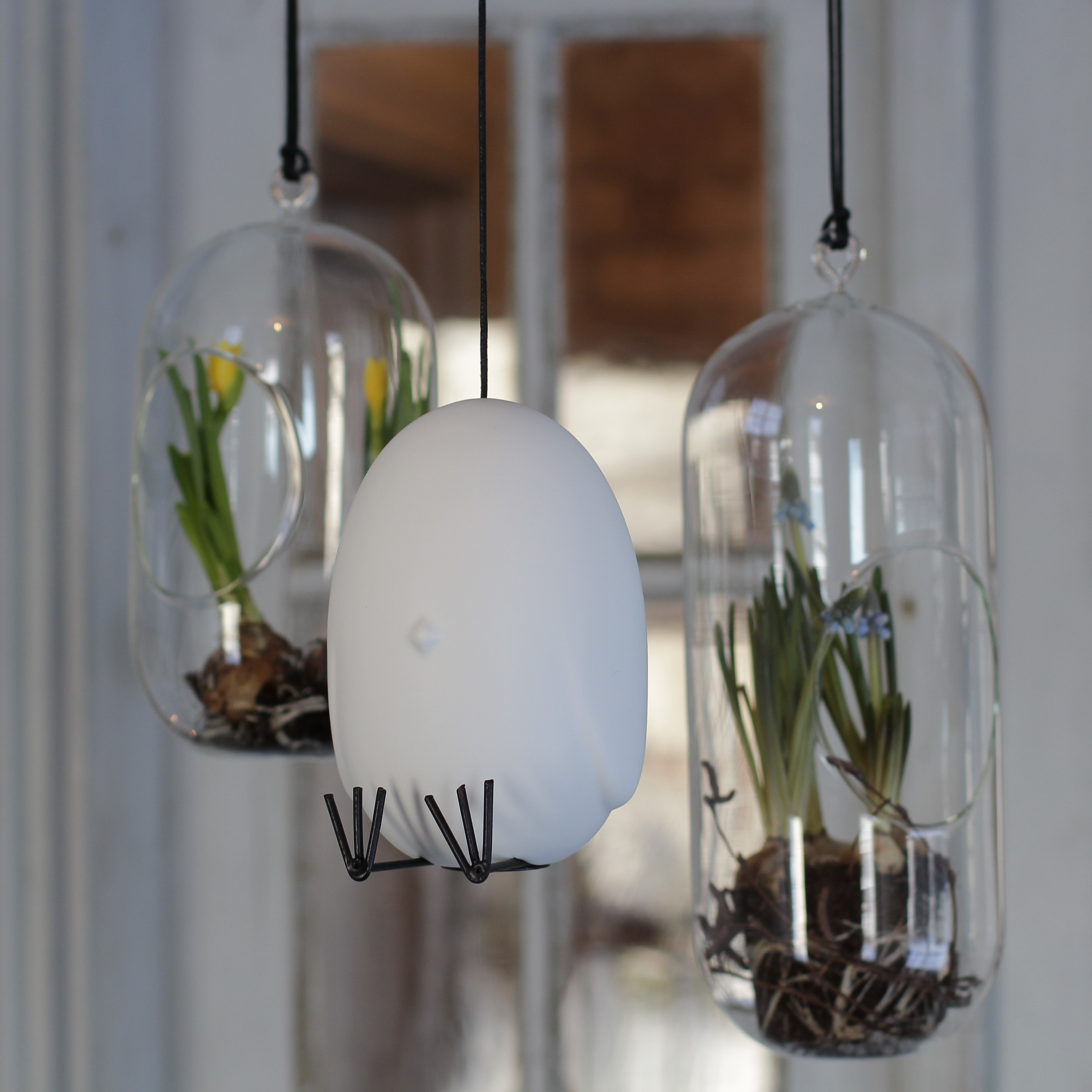Hang around - Vit - 3