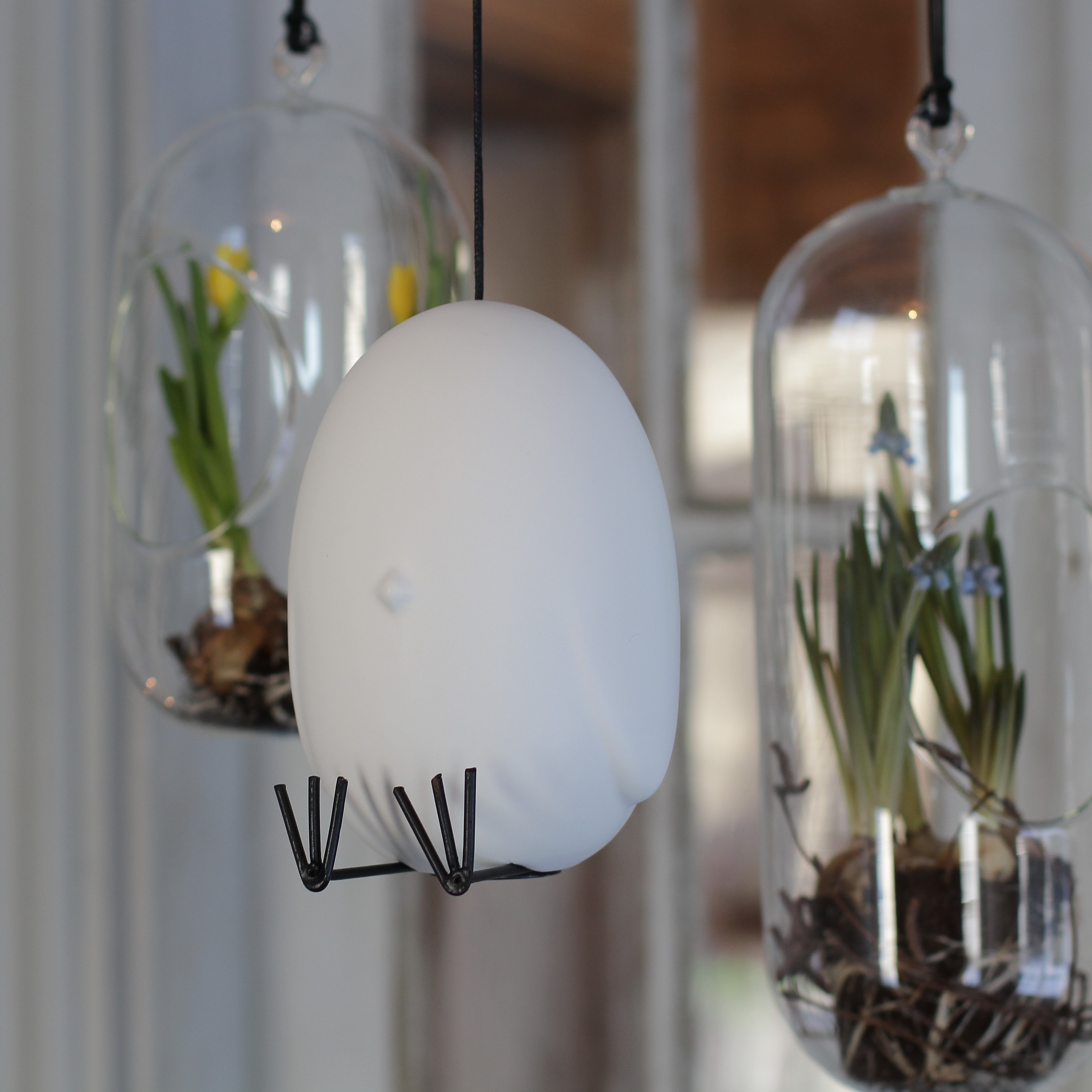 Hang around - Vit - 2