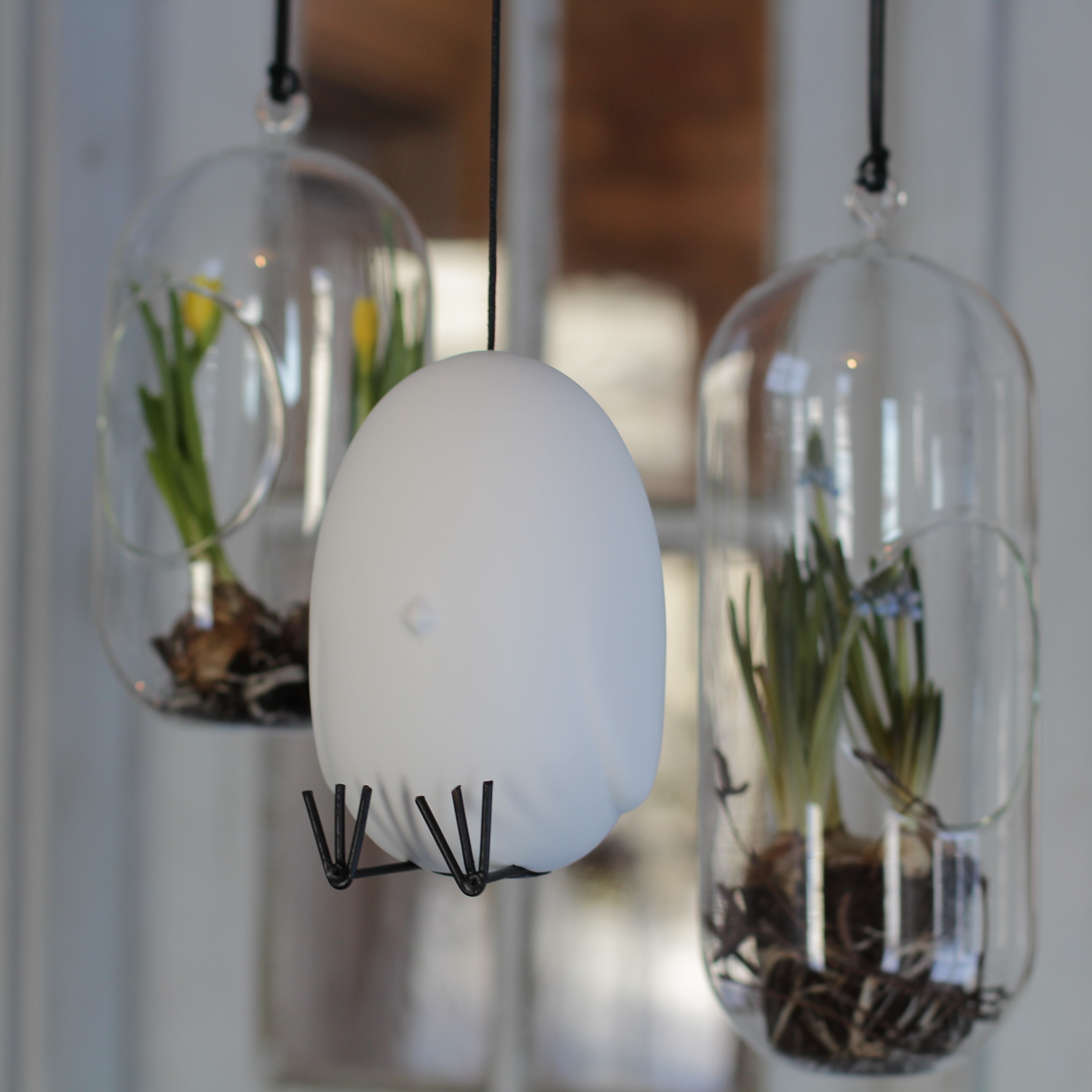 Hang around - Vit - 6