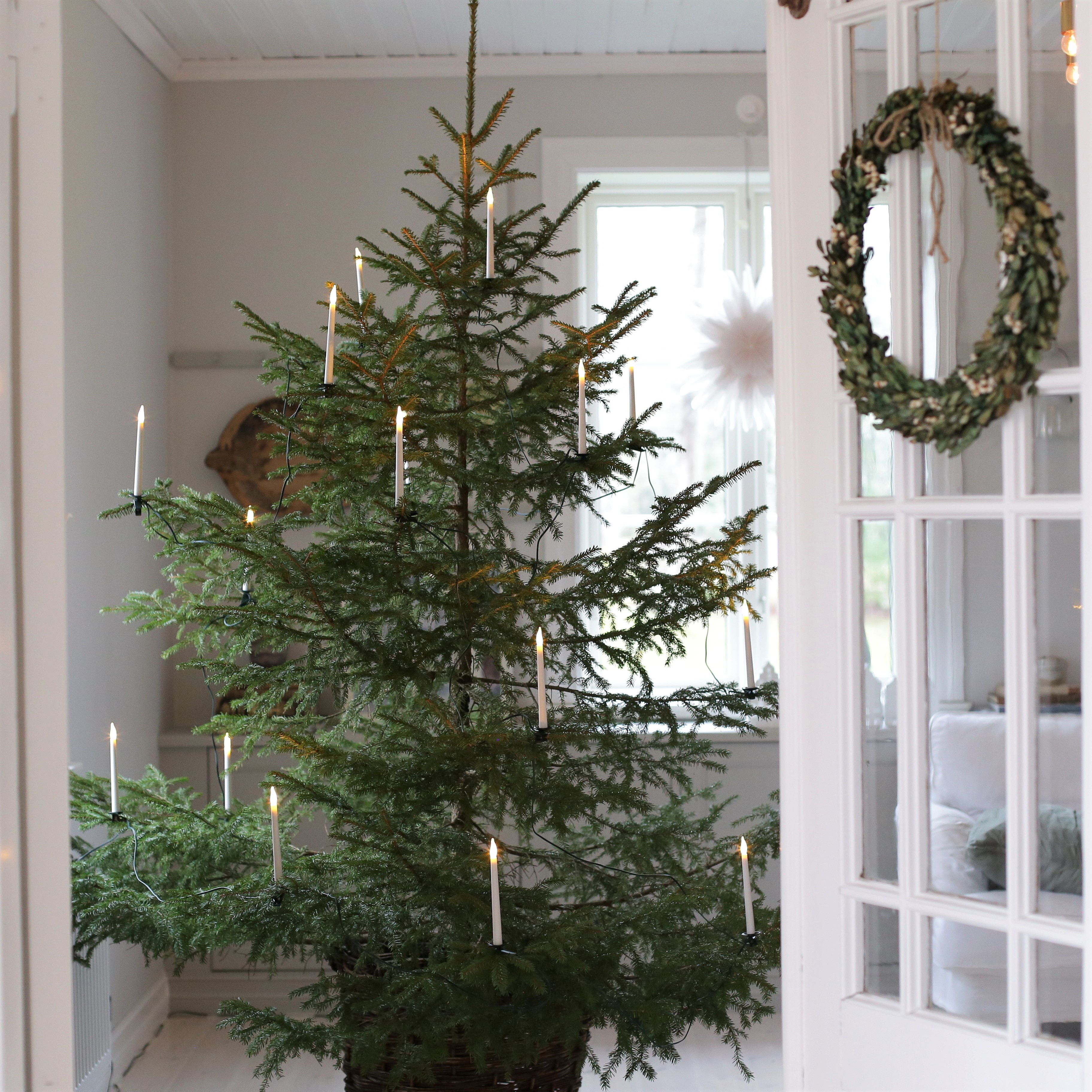 Julgransbelysning smala ljus (25 ljus) - 3
