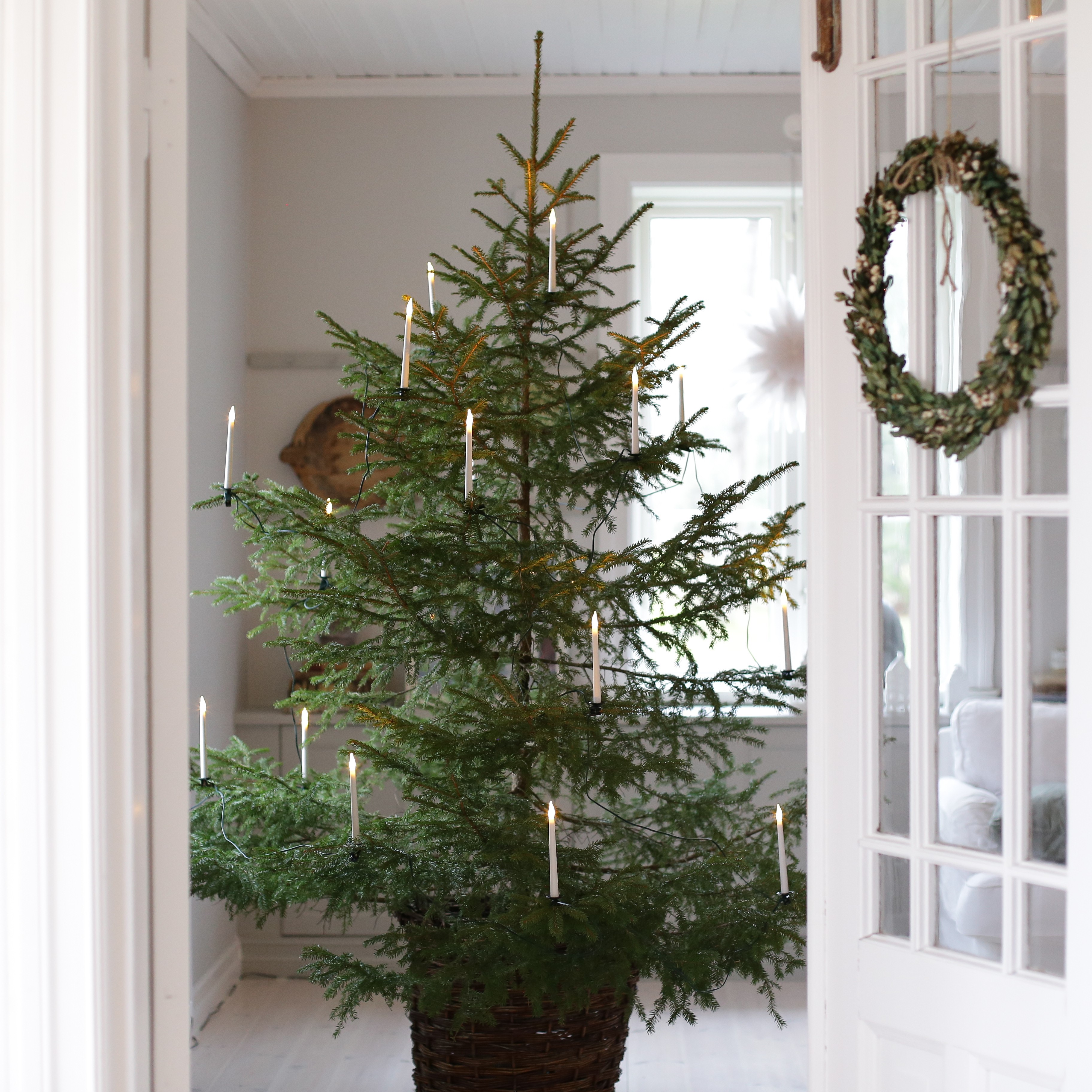 Julgransbelysning smala ljus (25 ljus) - 2