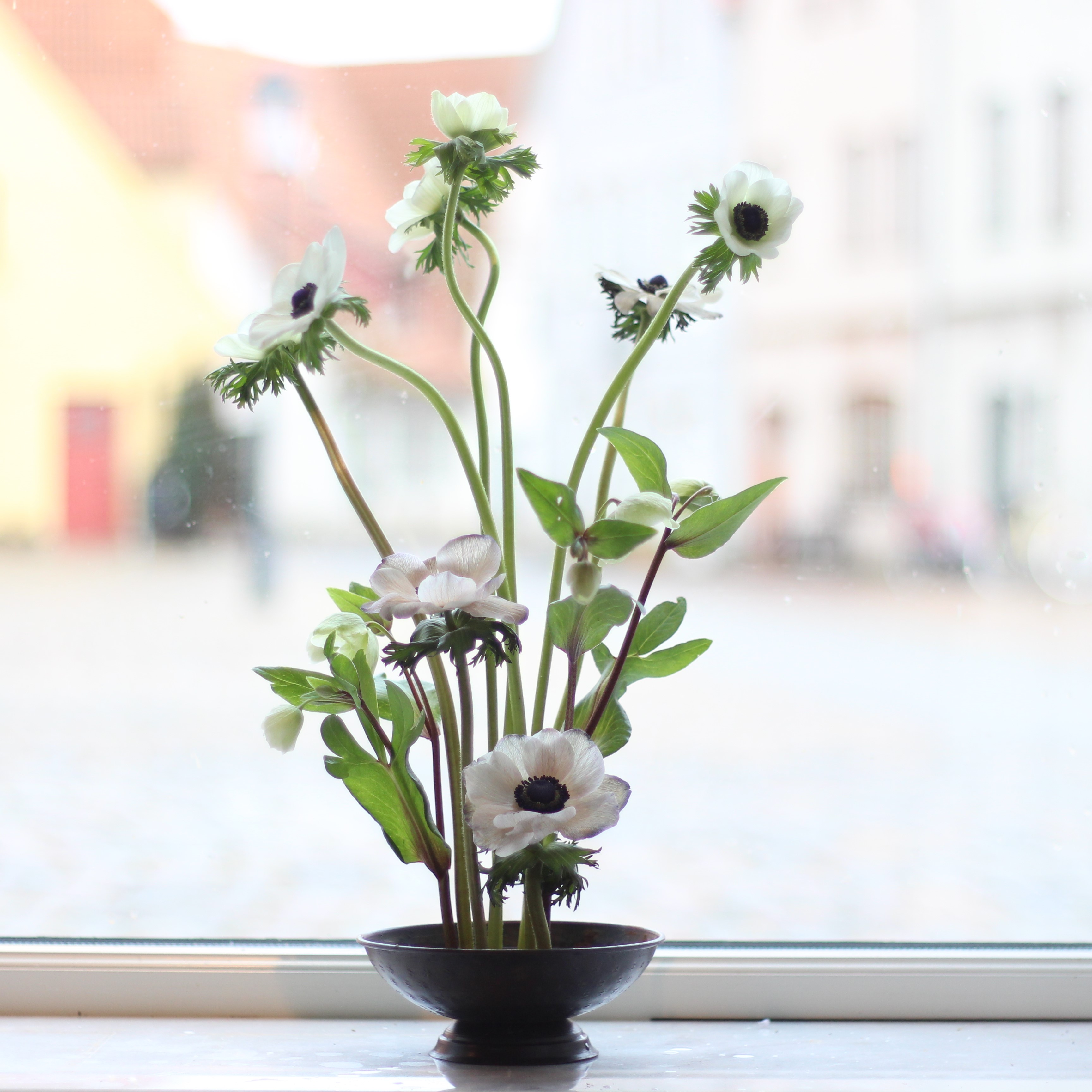 Blomsterfakir Stor - 10