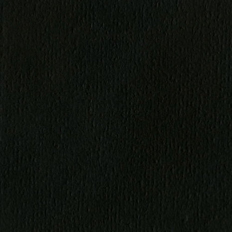 Bazzill - Orange peel - Black