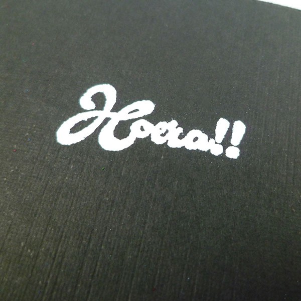 Nellies choice - Embossing powder - Opaque bright white