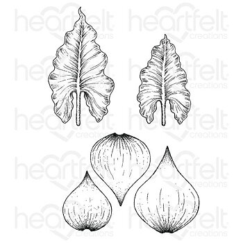 Heartfelt - Stämpelset - Calla Lily