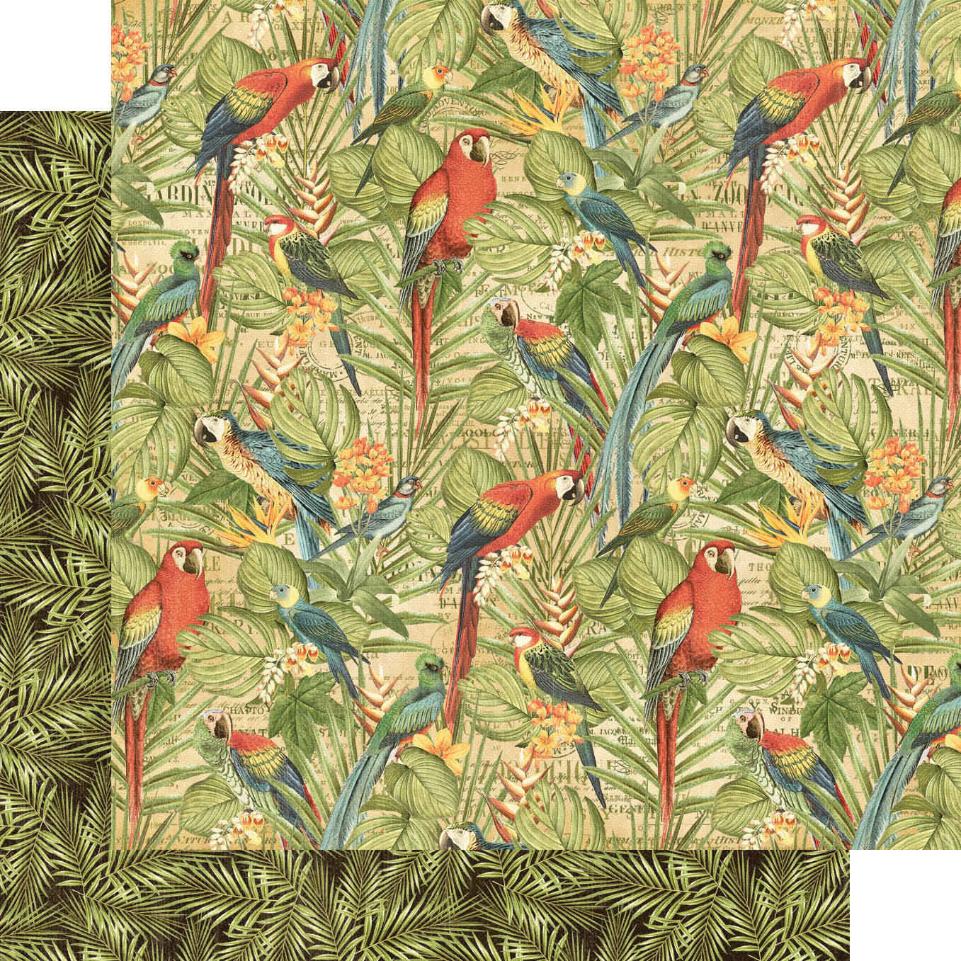 Graphic45 - Safari - DCE - 11