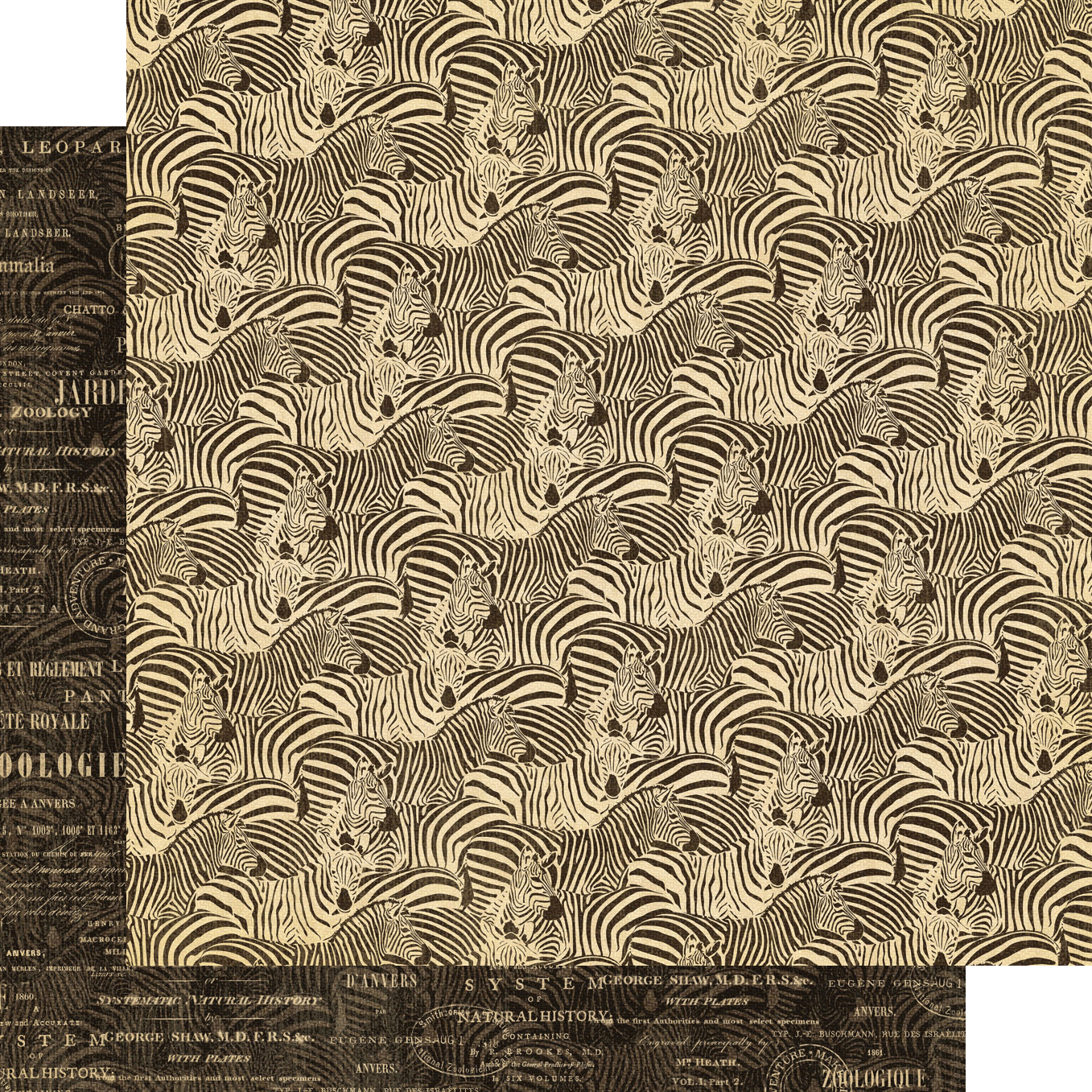 Graphic45 - Safari - DCE - 10