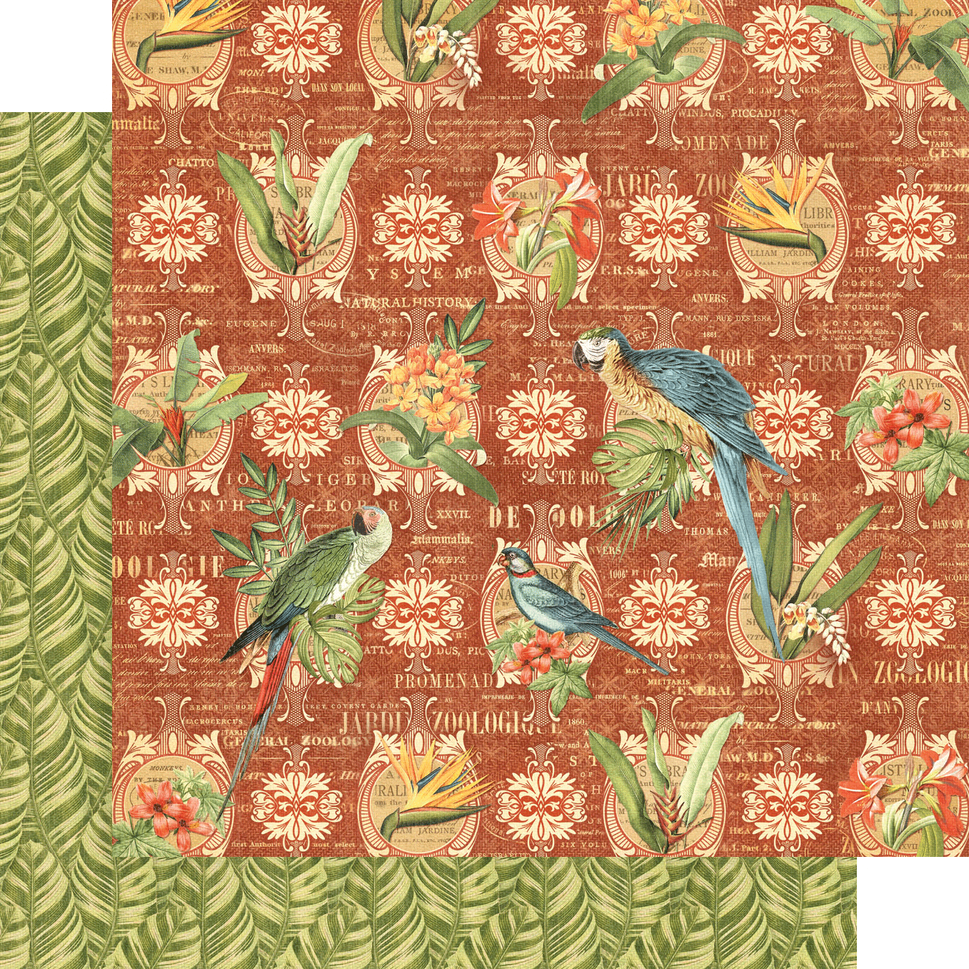Graphic45 - Safari - DCE - 17
