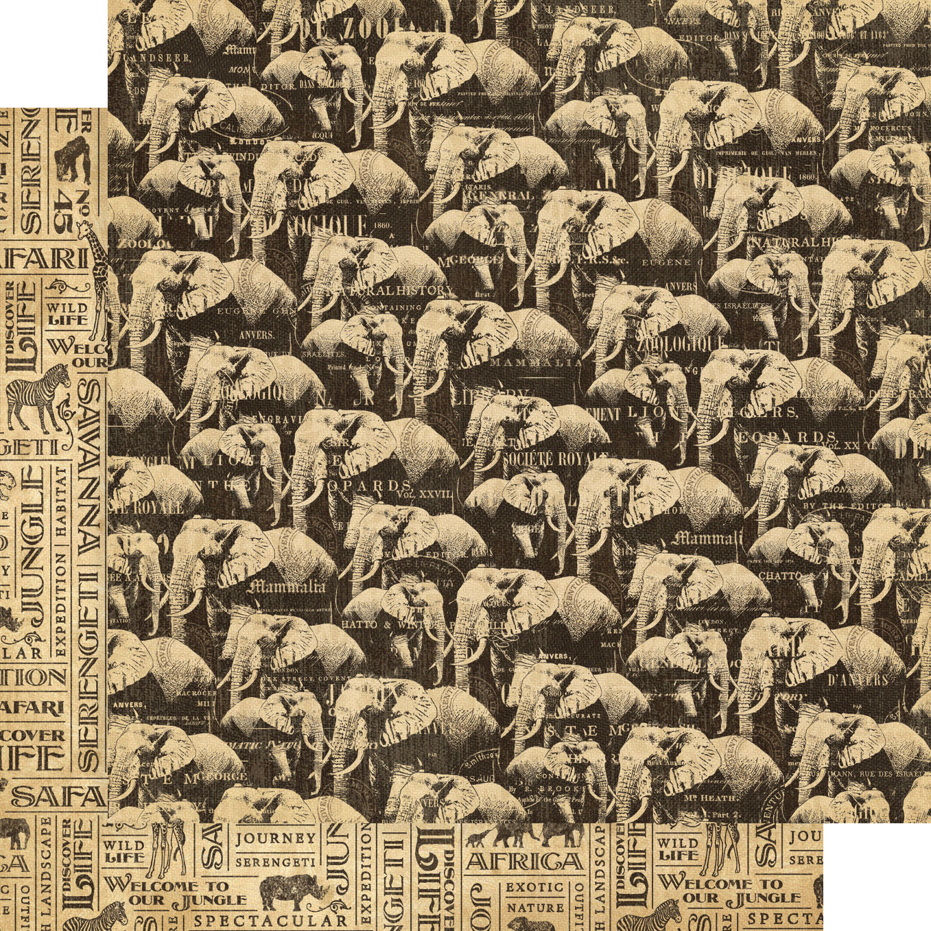 Graphic45 - Safari - DCE - 15