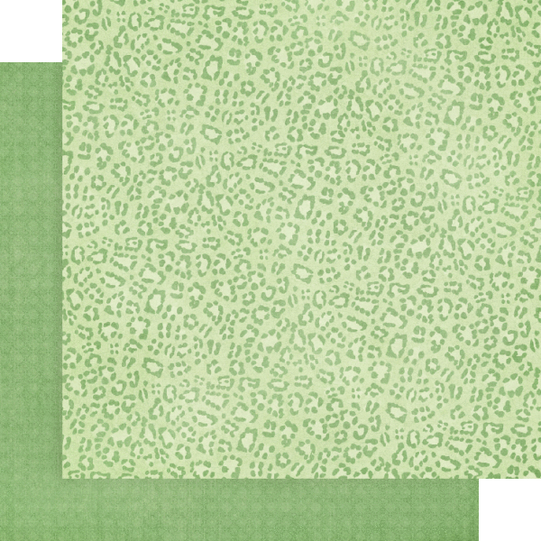 Graphic45 - Wild & Free -  baspapper Patterns & Solids 12" x 12" - 4