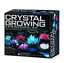 Crystal Growing Experimental Kit 