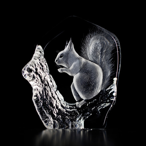 Mats Jonasson Wildlife Squirrel