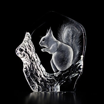 Mats Jonasson Wildlife Squirrel