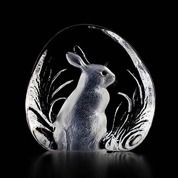 Mats Jonasson Wildlife Rabbit