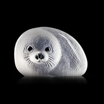 Mats Jonasson Wildlife Baby Seal