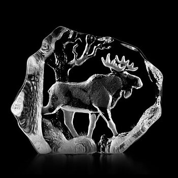 Mats Jonasson Wildlife Moose Bull