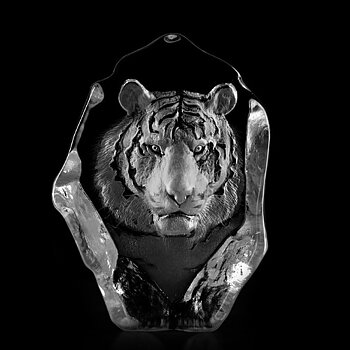 Mats Jonasson Wildlife Tiger