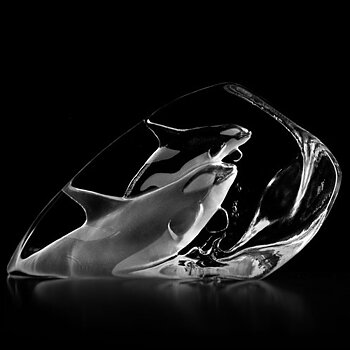 Mats Jonasson Wildlife Orca
