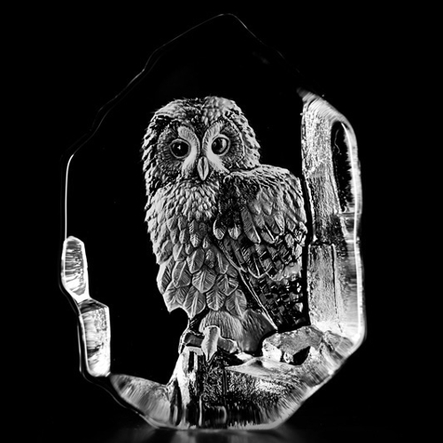 Mats Jonasson Wildlife Tawny Owl