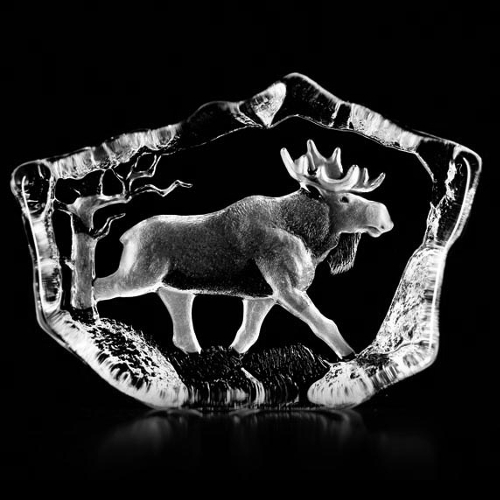 Mats Jonasson Wildlife Moose