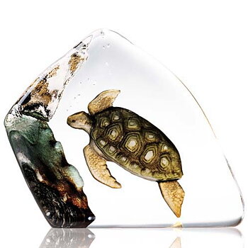 Mats Jonasson Wildlife Painted Turtle