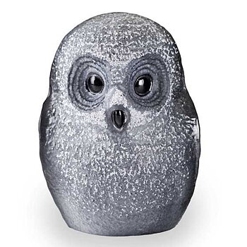 Mats Jonasson Wildlife Painted Owlet