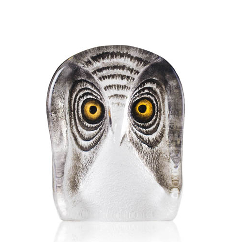 Mats Jonasson Wildlife Painted Owl