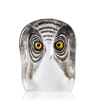 Mats Jonasson Wildlife Painted Owl