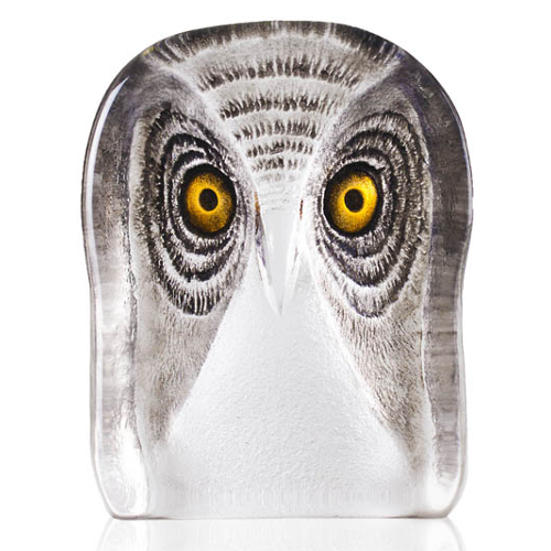 Mats Jonasson Wildlife Painted Owl