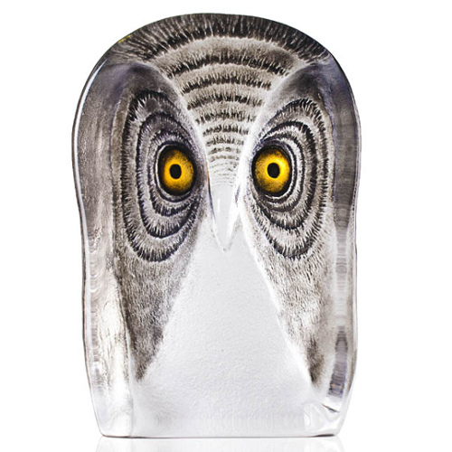 Mats Jonasson Wildlife Painted Owl