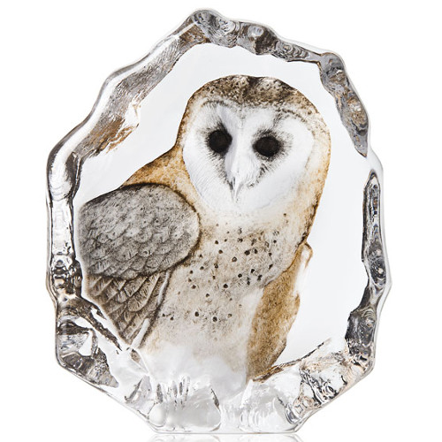 Mats Jonasson Wildlife Painted Barn Owl