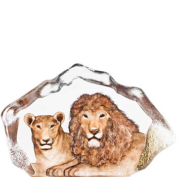Mats Jonasson Wildlife The Big Five Lion
