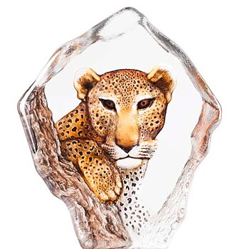 Mats Jonasson Wildlife The Big Five Leopard