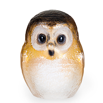 Mats Jonasson Wildlife Painted Owl
