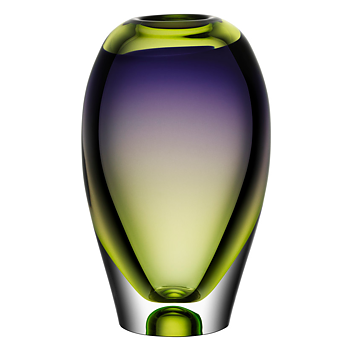 Kosta Boda Vision Vase Green/purple