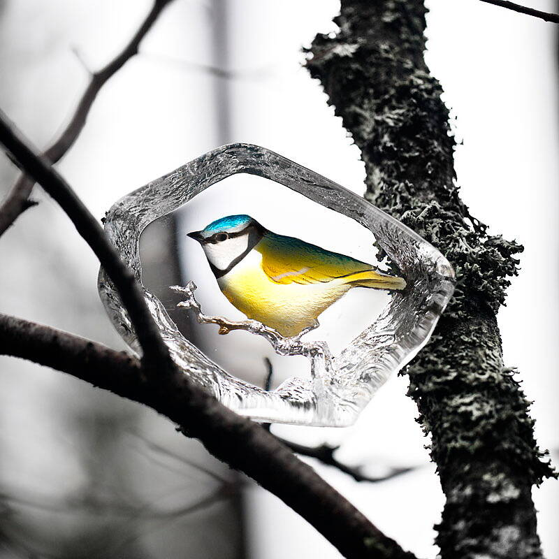 Mats Jonasson Wildlife Painted Blue Tit - 2