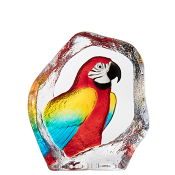 Mats Jonasson Wildlife Painted Parrot
