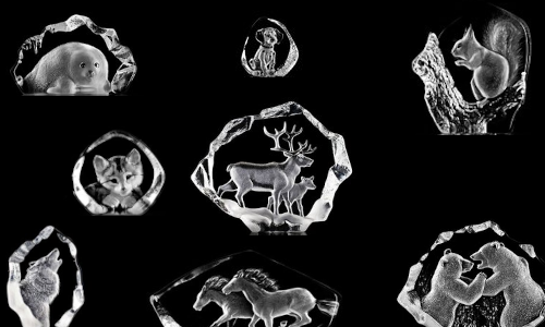 Mats Jonasson Wildlife