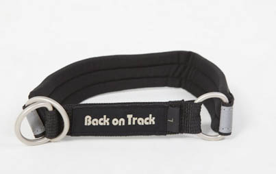 Back on Track Hundhalsband finns i två storlekar - 3