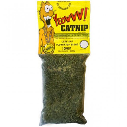Yeowww Kattmynta 31g