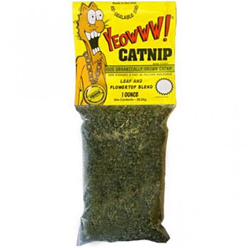 Yeowww Kattmynta 31g