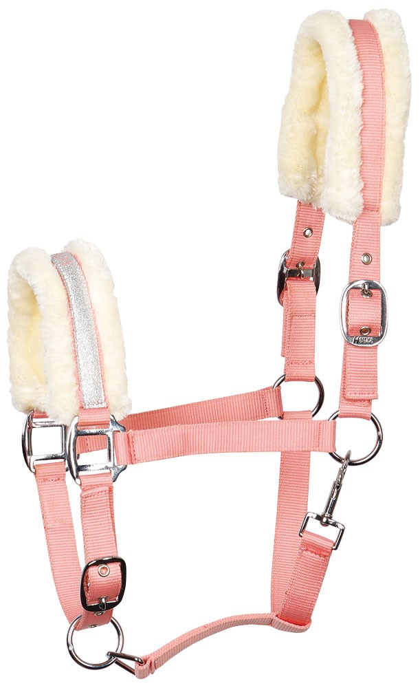 Harry´s Horse Grimma Lyrics Pink Lady